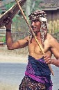 Thumbs/tn_lombok-stokvechter.jpg