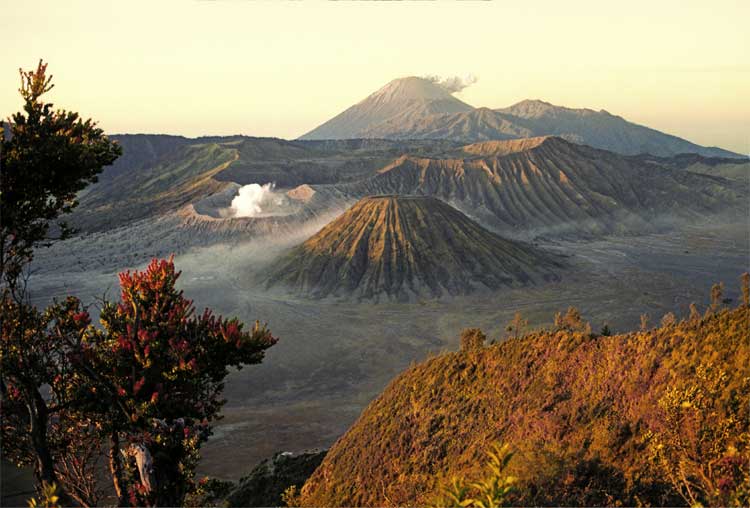../images/bromo.jpg
