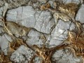 Thumbs/tn_039813.jpg