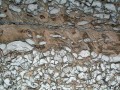 Thumbs/tn_039815.jpg
