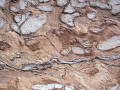 Thumbs/tn_039816.jpg