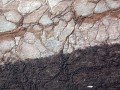 Thumbs/tn_039817.jpg